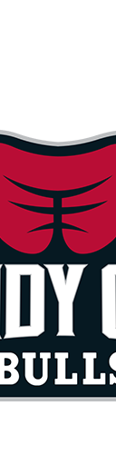 Windy City Bulls