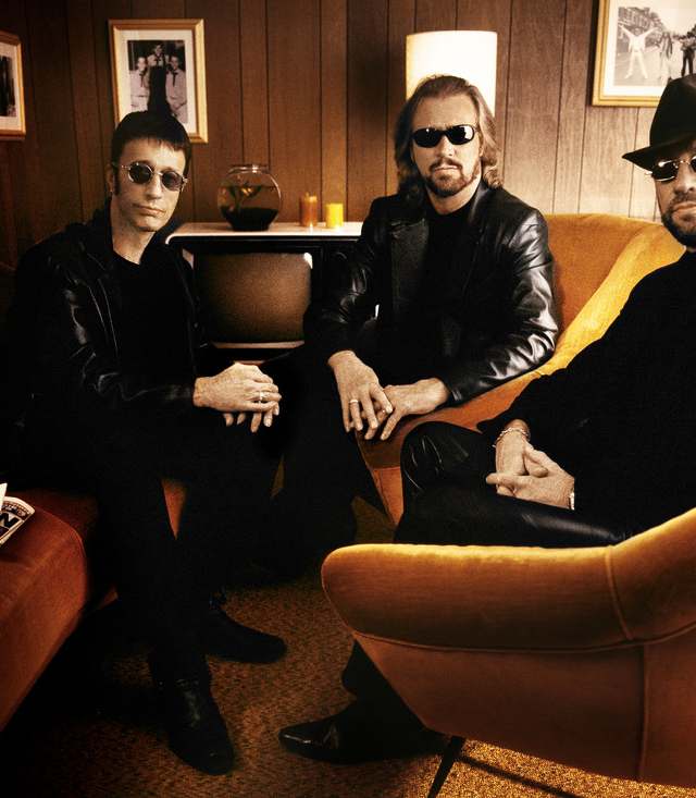You Should Be Dancing - A Tribute To The Bee Gees: Pop artist