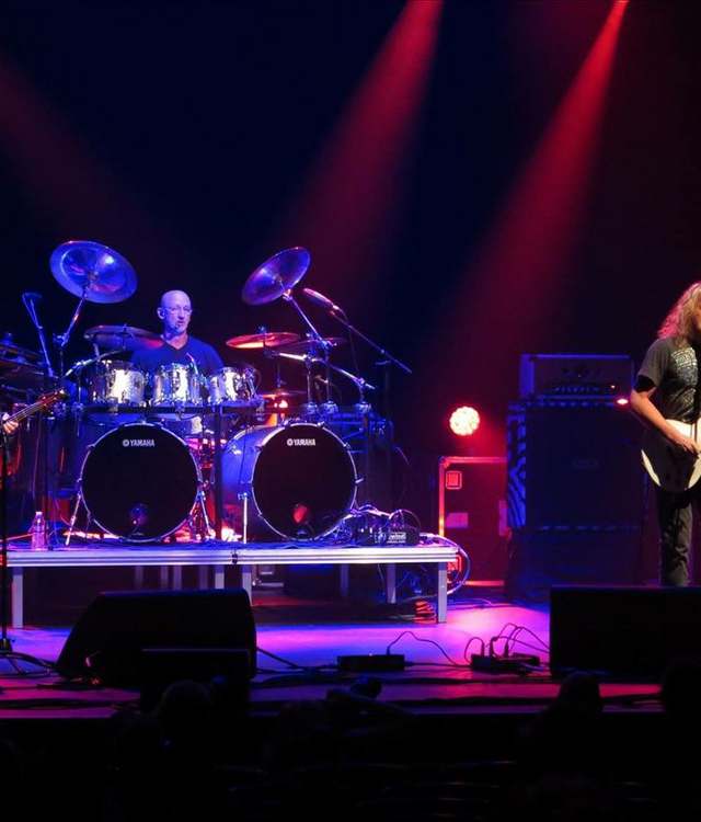 Zebra: Rock artist