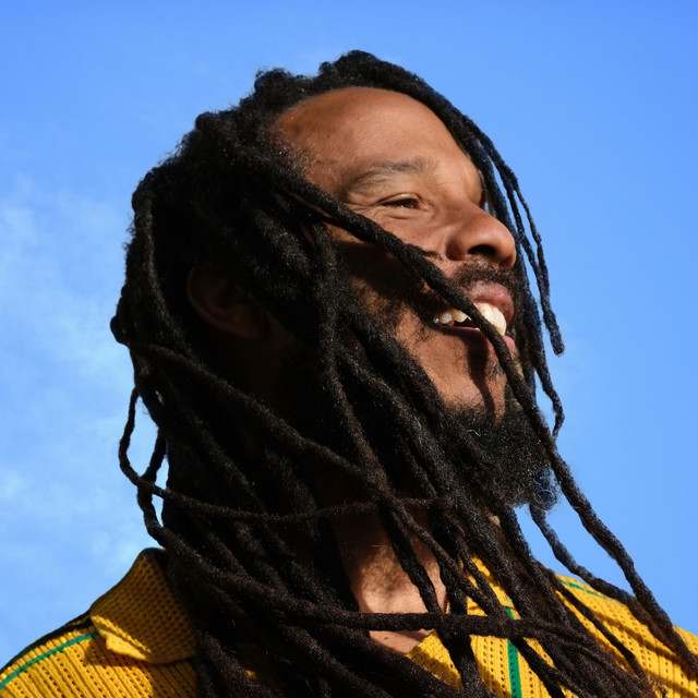 Ziggy Marley: Reggae artist